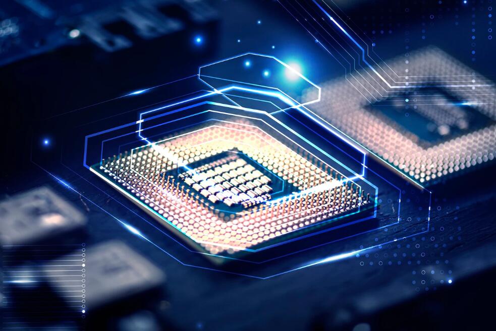 鹤舞白沙我心飞翔的意思 鹤舞白沙我心飞翔